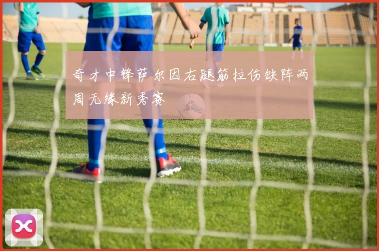 奇才中锋萨尔因右腿筋拉伤缺阵两周无缘新秀赛