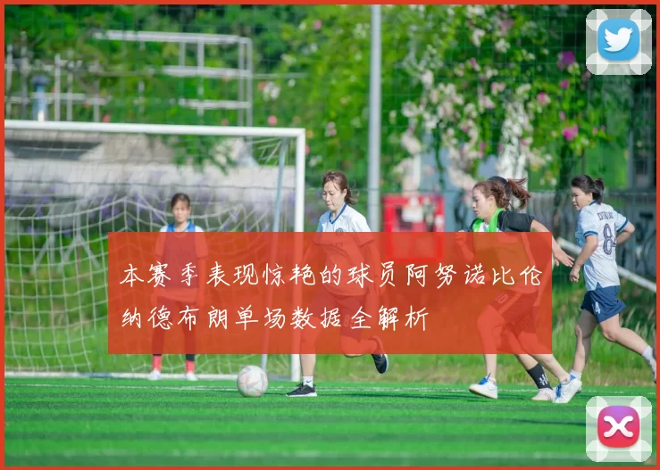 本赛季表现惊艳的球员阿努诺比伦纳德布朗单场数据全解析
